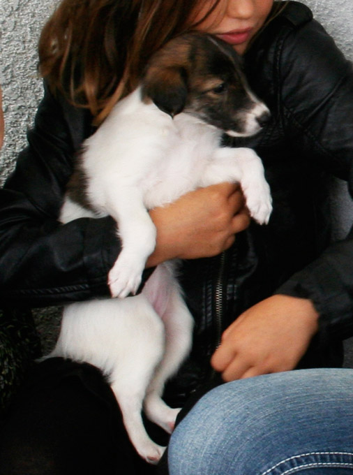 Surf Spots - Girl 1 Curious